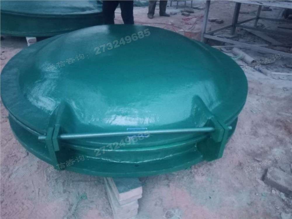 大型带连接杆玻璃钢拍门