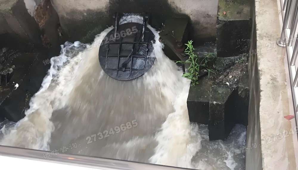 防倒灌拍门