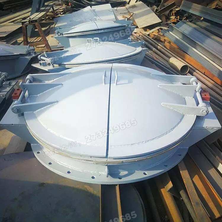 白色双开式钢制拍门