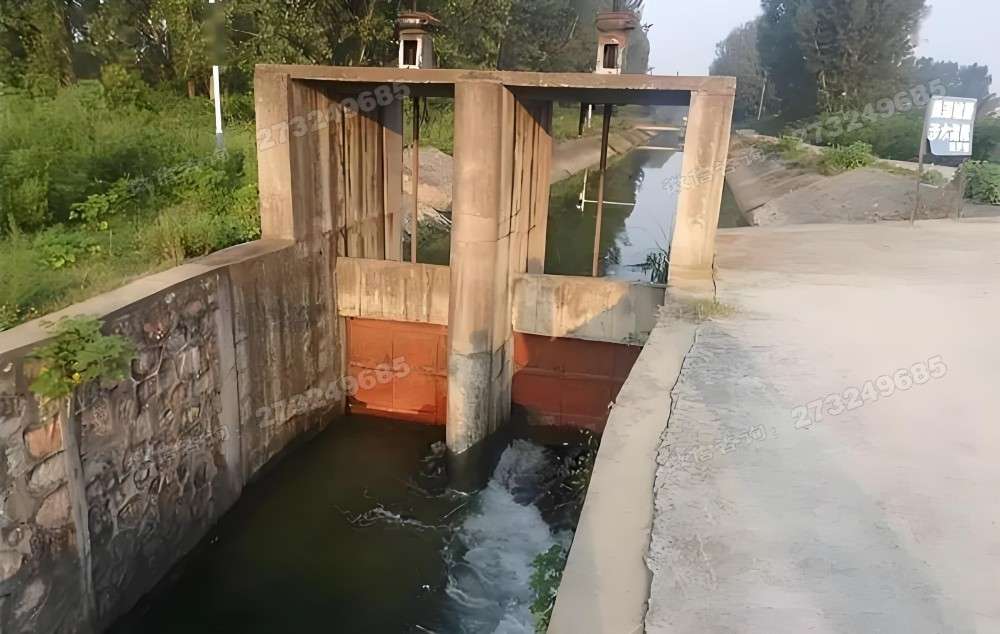 乡村双孔渠道闸门