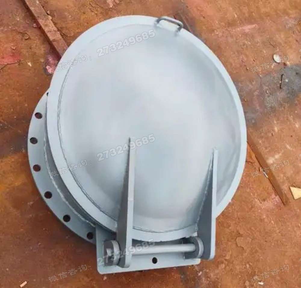 铸铁拍门